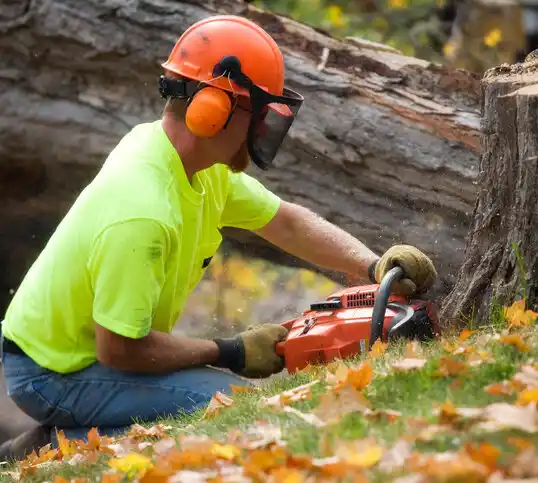 tree services Colonia